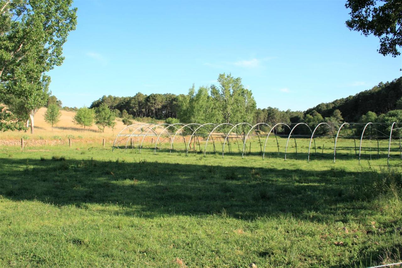 Casa Rural - Complejo El Tejar De Las Canadas Candeleda Bagian luar foto