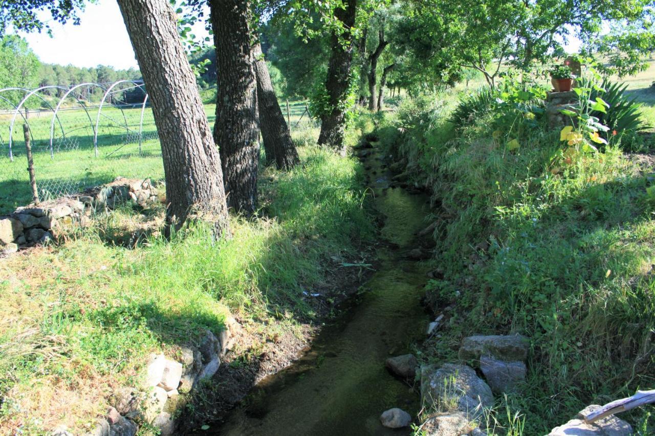 Casa Rural - Complejo El Tejar De Las Canadas Candeleda Bagian luar foto
