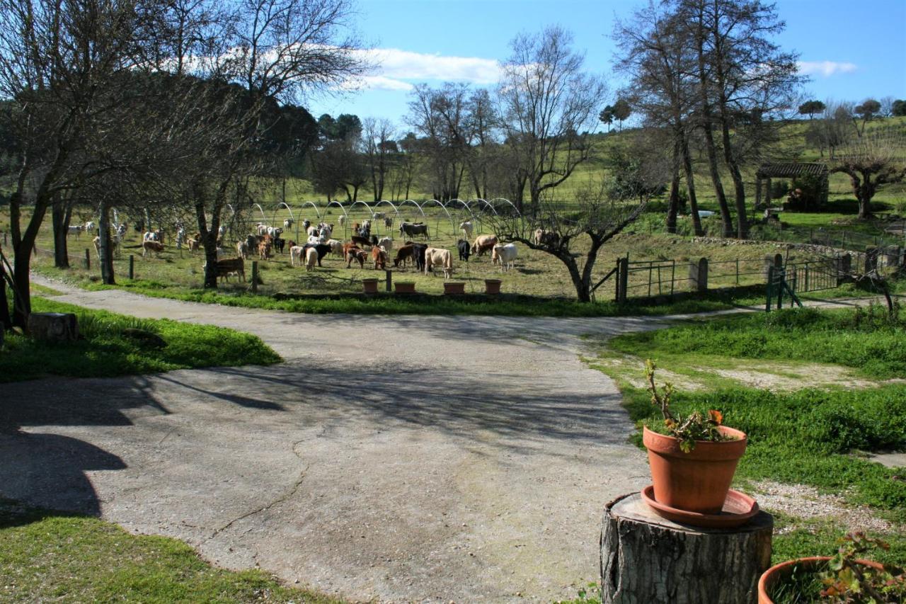 Casa Rural - Complejo El Tejar De Las Canadas Candeleda Bagian luar foto
